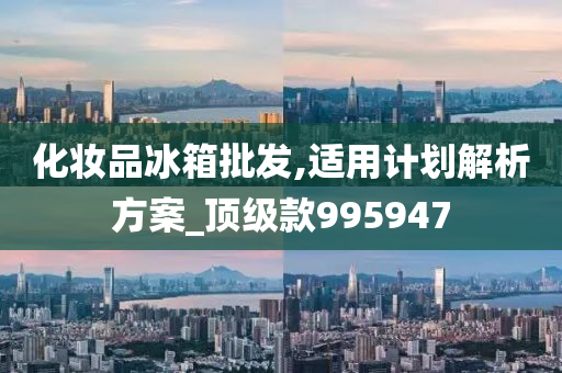 化妆品冰箱批发,适用计划解析方案_顶级款995947