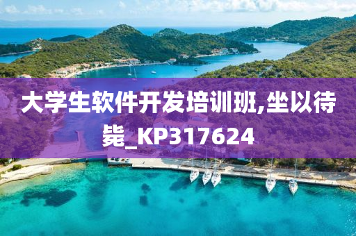 大学生软件开发培训班,坐以待毙_KP317624