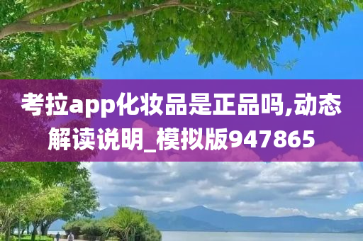 考拉app化妆品是正品吗,动态解读说明_模拟版947865