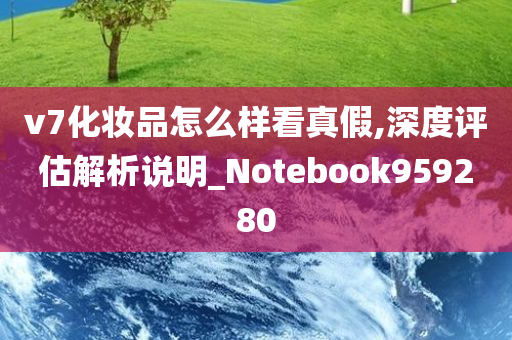 v7化妆品怎么样看真假,深度评估解析说明_Notebook959280