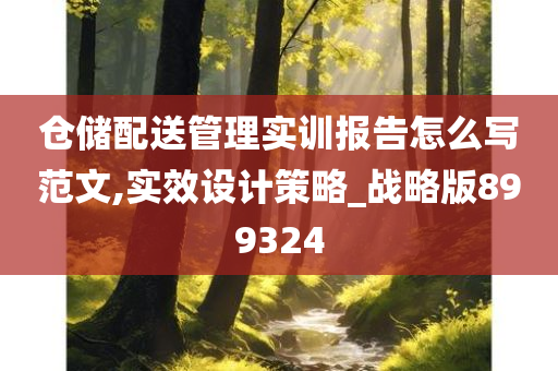 仓储配送管理实训报告怎么写范文,实效设计策略_战略版899324