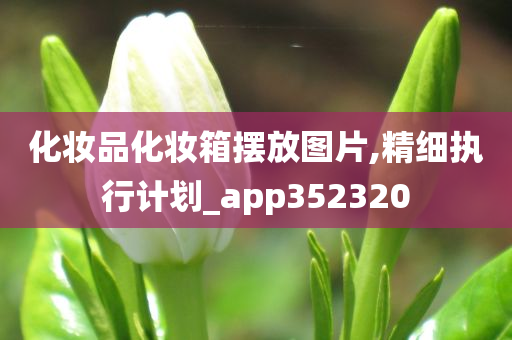 化妆品化妆箱摆放图片,精细执行计划_app352320