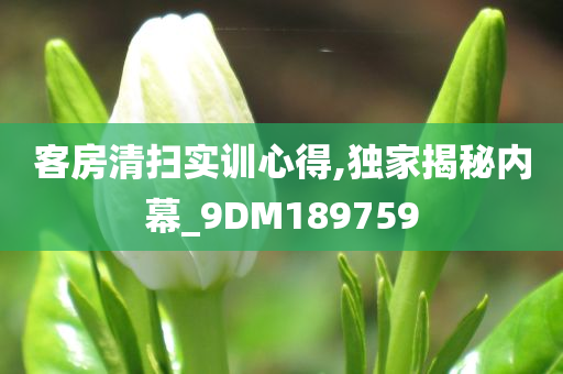 客房清扫实训心得,独家揭秘内幕_9DM189759