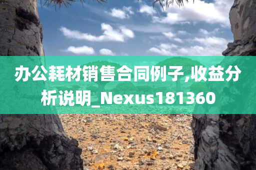 办公耗材销售合同例子,收益分析说明_Nexus181360