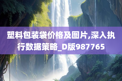 塑料包装袋价格及图片,深入执行数据策略_D版987765