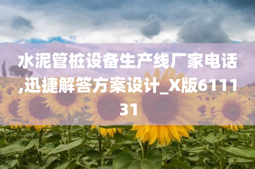 水泥管桩设备生产线厂家电话,迅捷解答方案设计_X版611131