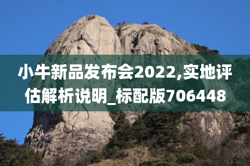 小牛新品发布会2022,实地评估解析说明_标配版706448