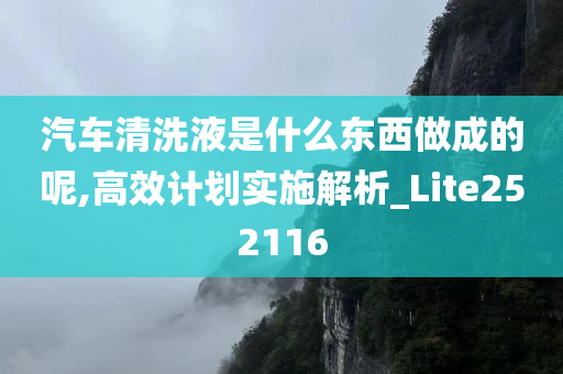 汽车清洗液是什么东西做成的呢,高效计划实施解析_Lite252116