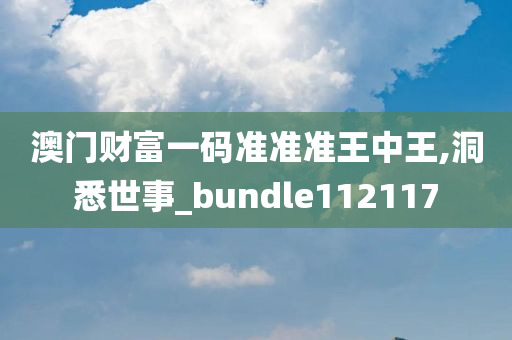 澳门财富一码准准准王中王,洞悉世事_bundle112117