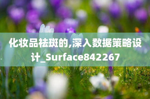 化妆品祛斑的,深入数据策略设计_Surface842267