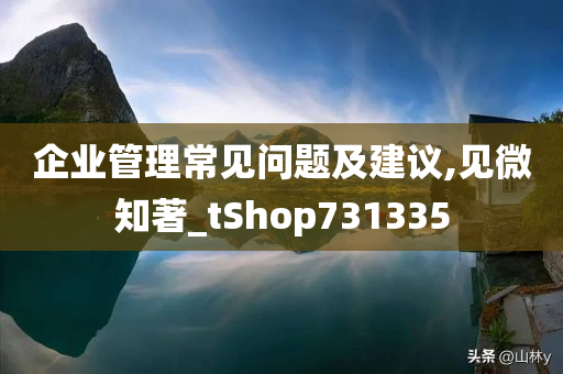 企业管理常见问题及建议,见微知著_tShop731335