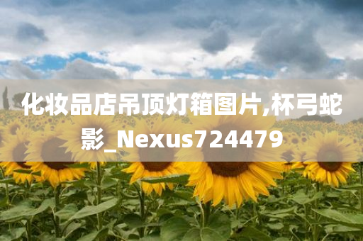 化妆品店吊顶灯箱图片,杯弓蛇影_Nexus724479