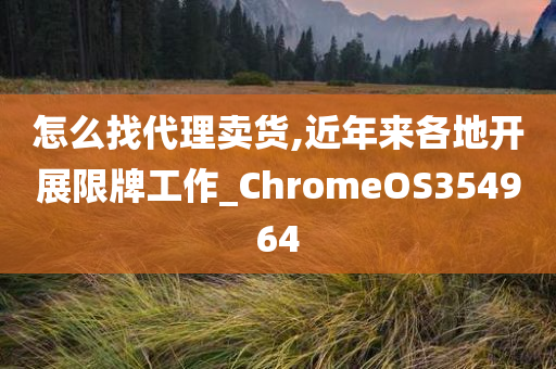 怎么找代理卖货,近年来各地开展限牌工作_ChromeOS354964