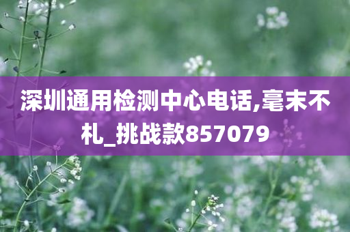 深圳通用检测中心电话,毫末不札_挑战款857079