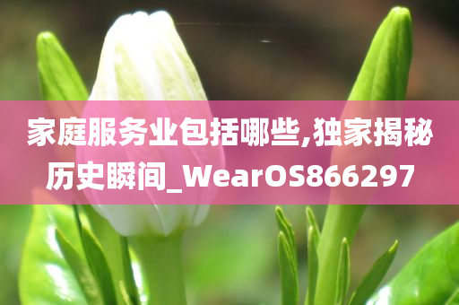 家庭服务业包括哪些,独家揭秘历史瞬间_WearOS866297