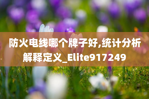 防火电线哪个牌子好,统计分析解释定义_Elite917249