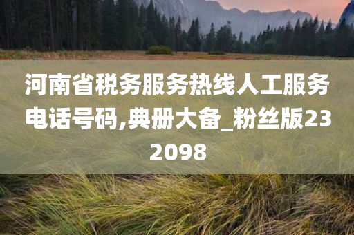 河南省税务服务热线人工服务电话号码,典册大备_粉丝版232098