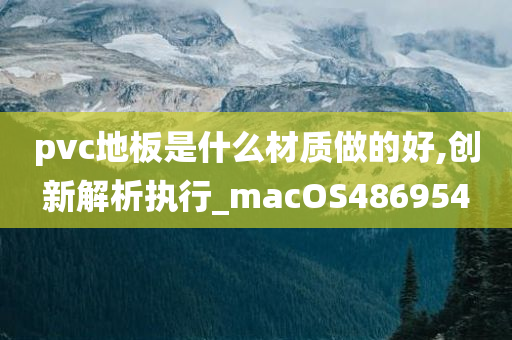 pvc地板是什么材质做的好,创新解析执行_macOS486954