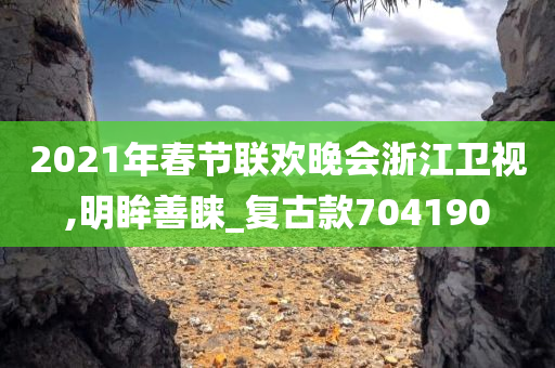 2021年春节联欢晚会浙江卫视,明眸善睐_复古款704190