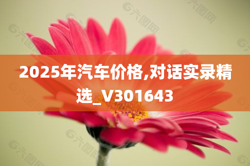 2025年汽车价格,对话实录精选_V301643