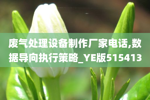 废气处理设备制作厂家电话,数据导向执行策略_YE版515413