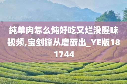 纯羊肉怎么炖好吃又烂没腥味视频,宝剑锋从磨砺出_YE版181744