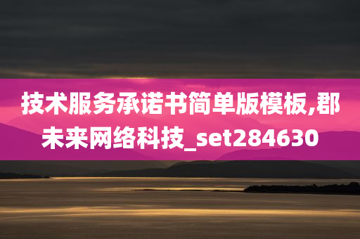 技术服务承诺书简单版模板,郡未来网络科技_set284630