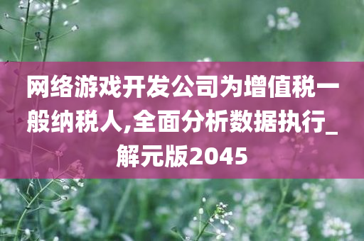 网络游戏开发公司为增值税一般纳税人,全面分析数据执行_解元版2045