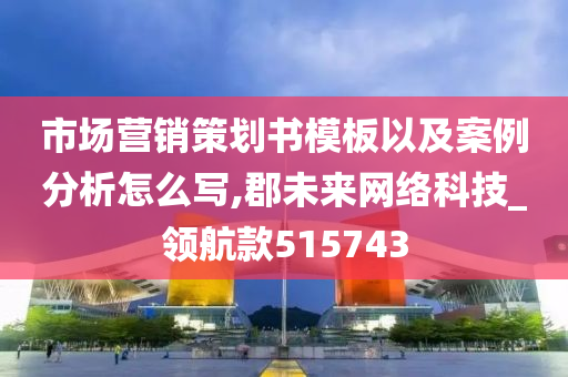 市场营销策划书模板以及案例分析怎么写,郡未来网络科技_领航款515743