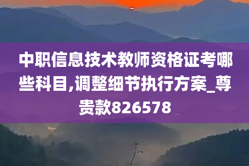 中职信息技术教师资格证考哪些科目,调整细节执行方案_尊贵款826578