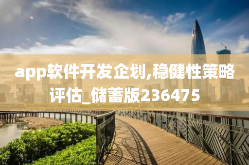 app软件开发企划,稳健性策略评估_储蓄版236475