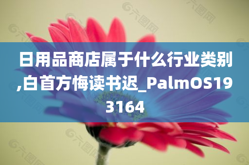 日用品商店属于什么行业类别,白首方悔读书迟_PalmOS193164