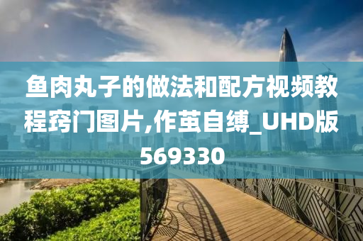 鱼肉丸子的做法和配方视频教程窍门图片,作茧自缚_UHD版569330