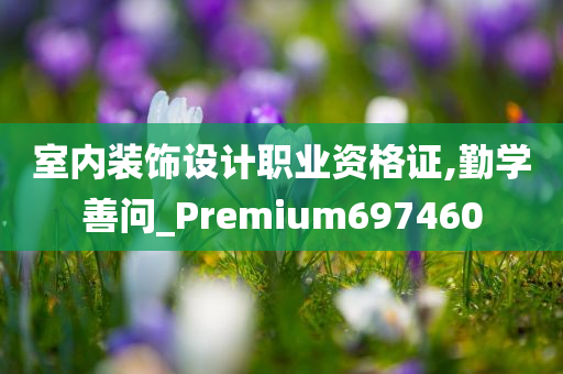 室内装饰设计职业资格证,勤学善问_Premium697460