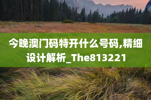 今晚澳门码特开什么号码,精细设计解析_The813221