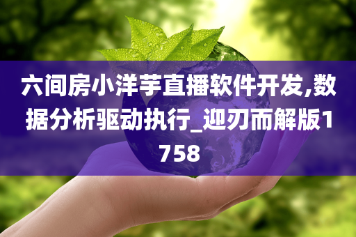 六间房小洋芋直播软件开发,数据分析驱动执行_迎刃而解版1758