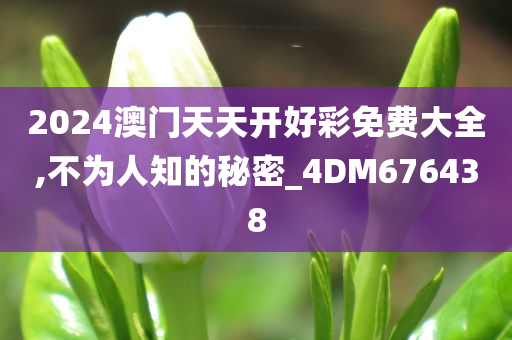 2024澳门天天开好彩免费大全,不为人知的秘密_4DM676438