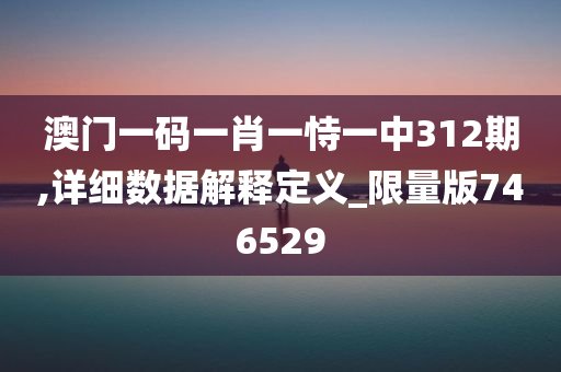 澳门一码一肖一恃一中312期,详细数据解释定义_限量版746529