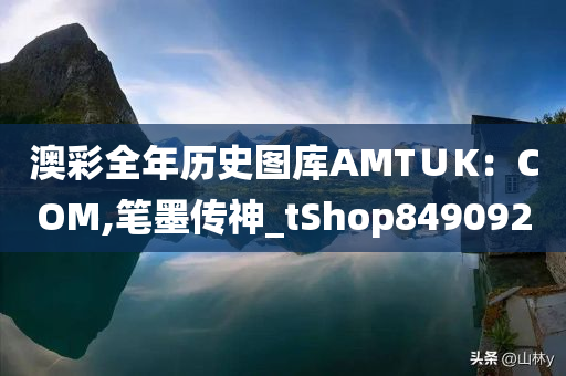 澳彩全年历史图库AMT∪K：COM,笔墨传神_tShop849092