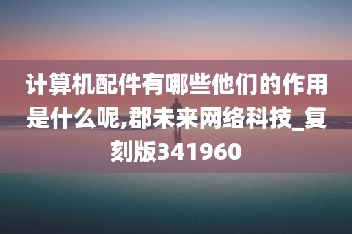 计算机配件有哪些他们的作用是什么呢,郡未来网络科技_复刻版341960