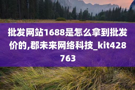 批发网站1688是怎么拿到批发价的,郡未来网络科技_kit428763