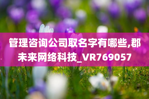 管理咨询公司取名字有哪些,郡未来网络科技_VR769057