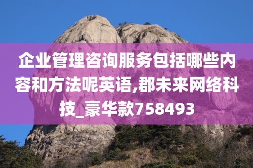 企业管理咨询服务包括哪些内容和方法呢英语,郡未来网络科技_豪华款758493