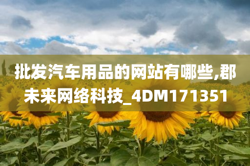 批发汽车用品的网站有哪些,郡未来网络科技_4DM171351