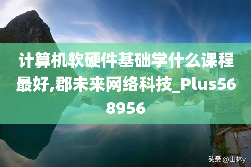 计算机软硬件基础学什么课程最好,郡未来网络科技_Plus568956