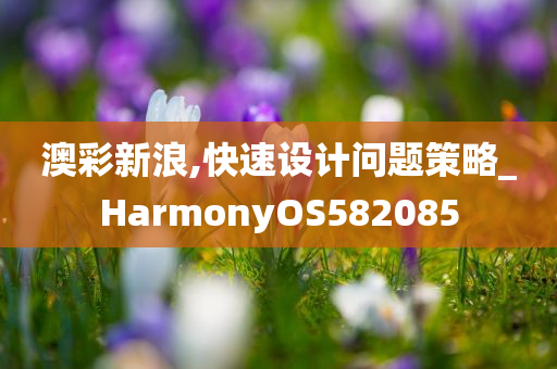 澳彩新浪,快速设计问题策略_HarmonyOS582085