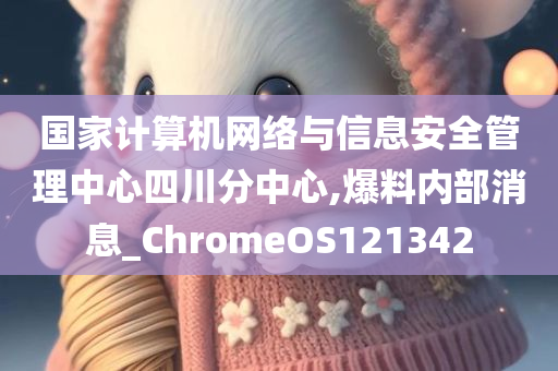 国家计算机网络与信息安全管理中心四川分中心,爆料内部消息_ChromeOS121342