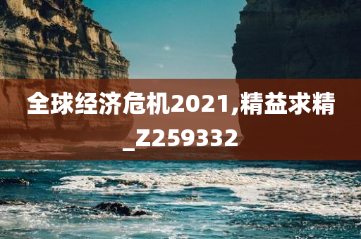 全球经济危机2021,精益求精_Z259332