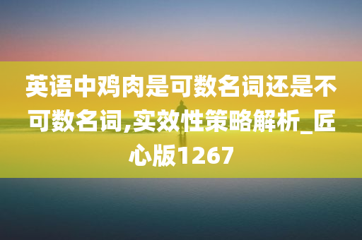 英语中鸡肉是可数名词还是不可数名词,实效性策略解析_匠心版1267