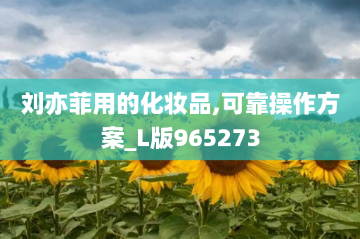 刘亦菲用的化妆品,可靠操作方案_L版965273